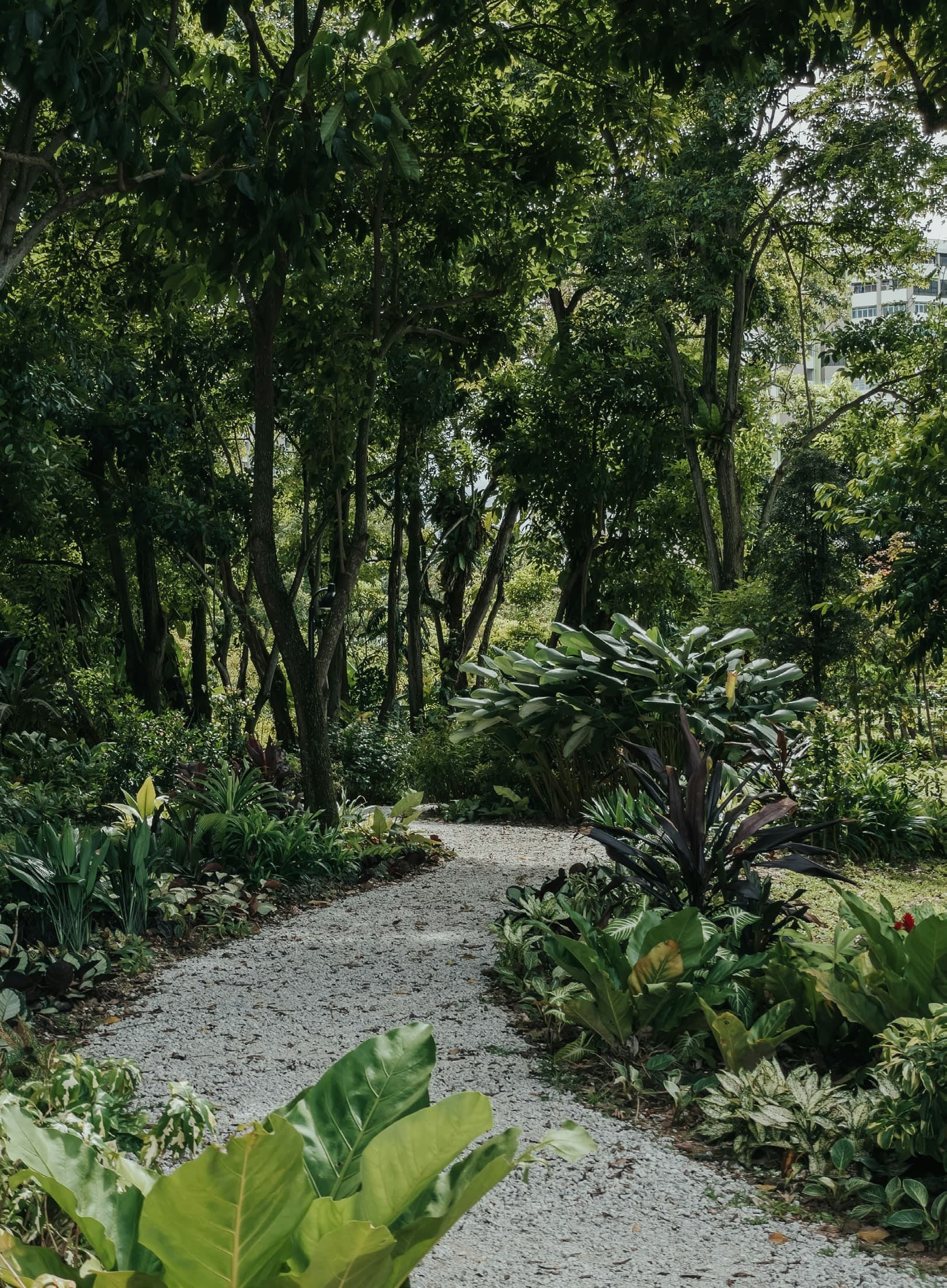 Park walking trail