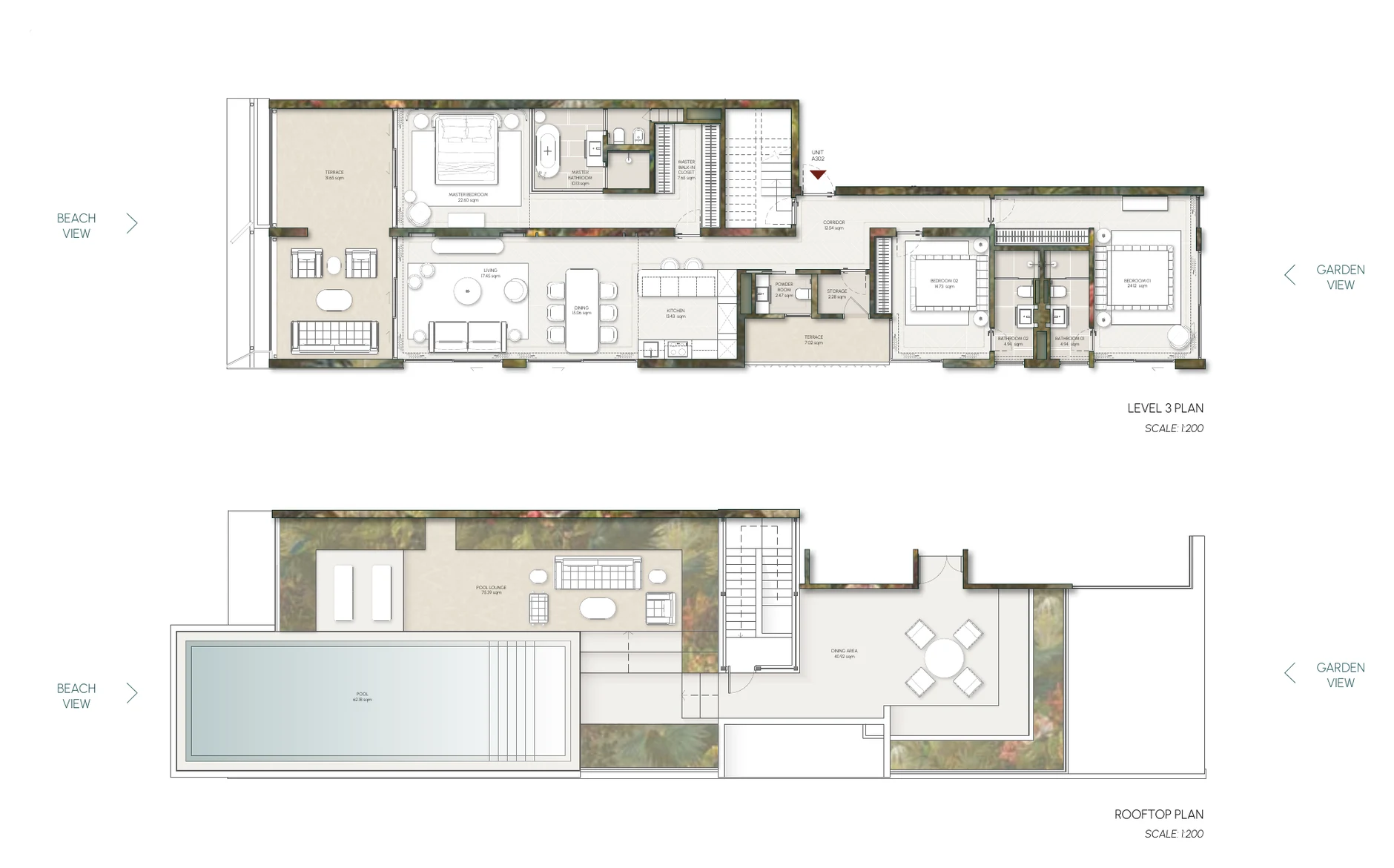 Layout — Typical penthouse layout — level 3 and rooftop