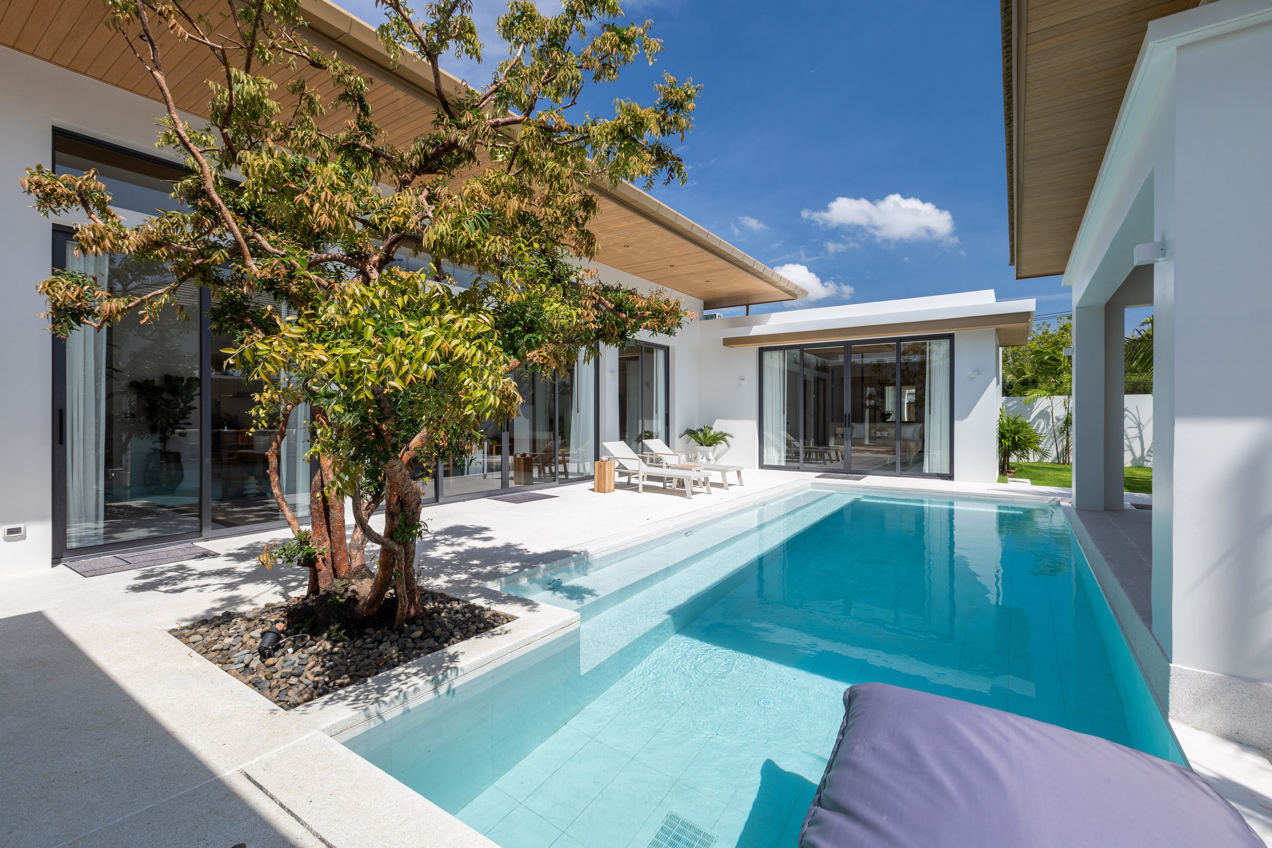 Breeze villa pool and frangipani